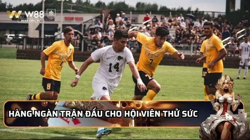 Hàng ngàn trận đấu cho hội viên thử sức